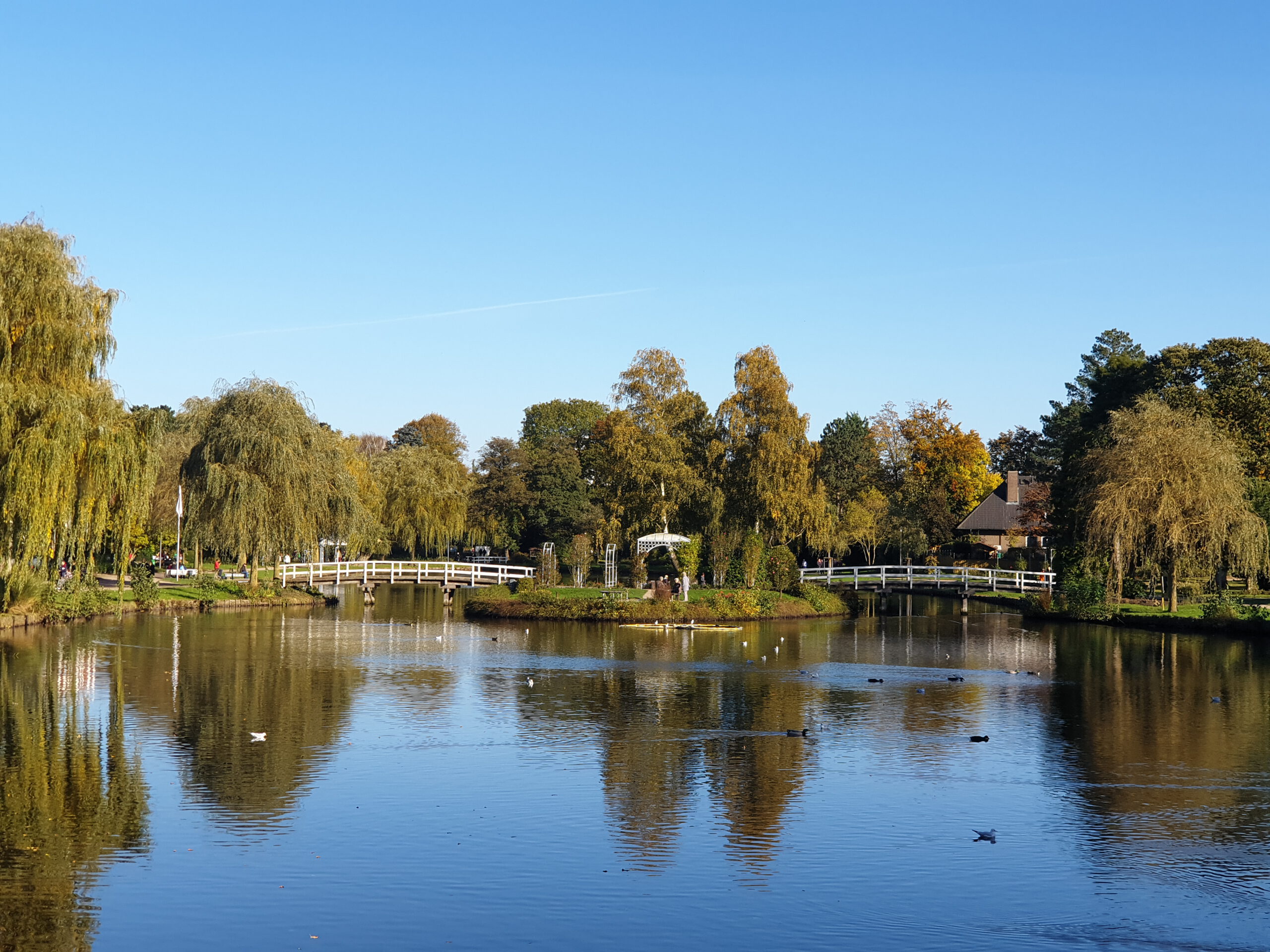 Im Vordergrund ist ein blauer, fast glatter See, auf dem ein paar Enten und Gänse schwimmen. In der Mitte liegt eine grün bewachsenen Insel, zu der von links und rechts je eine weiß angemalte Holzbrücke für Spazierende führt. Auf der Insel steht ein weißer Pavillion aus Metall mit Baldachin, dazu große und kleine Bäume. An den Bildränder sinlinks uns rechts sind ebenfalls Bäume, nämlich Birken und Weiden zu sehen. Sie alle spiegeln sich im Wasser des Sees. Oben im Bild ist der hellblaue, wolkenfreie Himmel.
