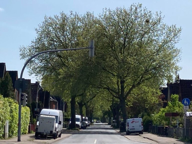 Und wat nu, Ossenpadd?