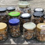 Das Foto zeigt einen Gartentisch aus Holz von schräg oben. Auf dem Tisch im Vordergrund stehen 21 unterschiedlich große Schraubverschlussgläser, alle randvoll gefüllt mit Zigarettenkippen.