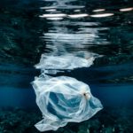 Das Foto zeigt eine durchsichtige Kunststofftüte unter Wasser, die sich an der der Wasseroberfläche spiegelt.