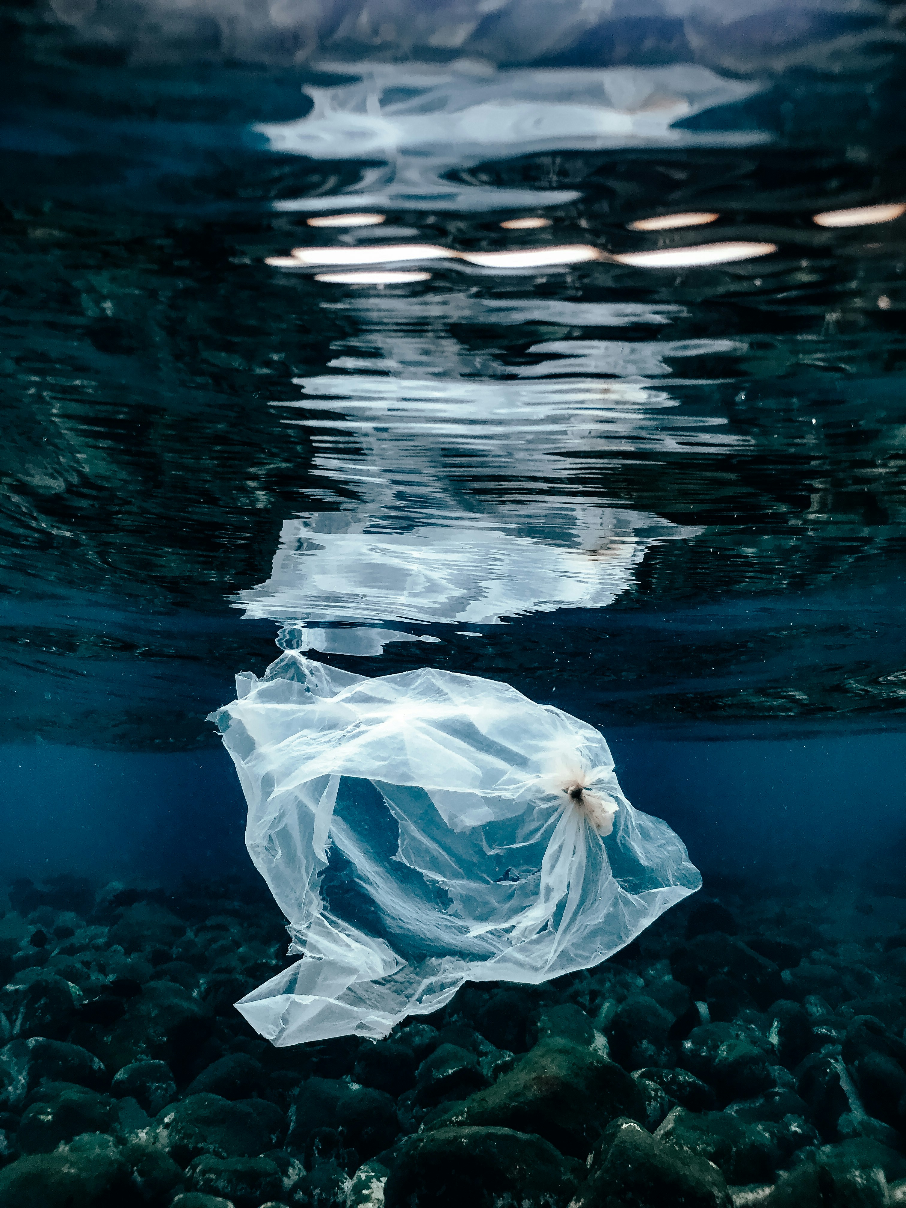 Das Foto zeigt eine durchsichtige Kunststofftüte unter Wasser, die sich an der der Wasseroberfläche spiegelt.