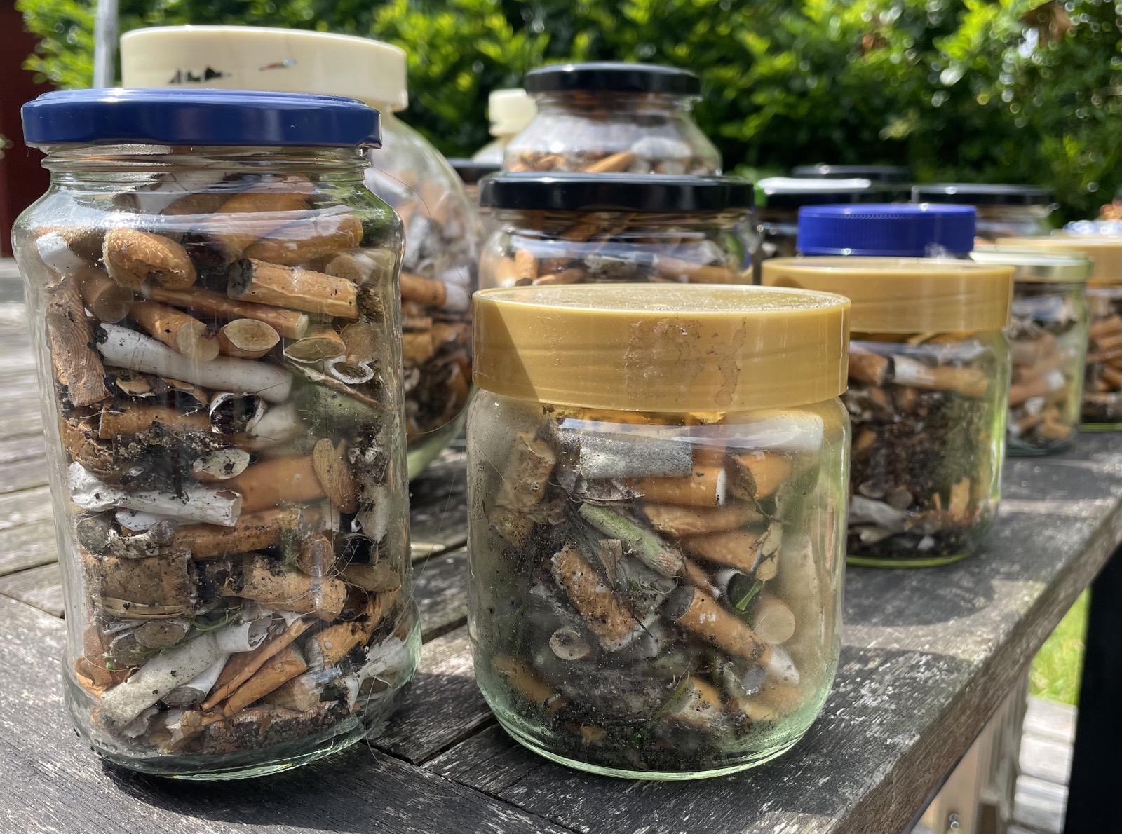 Das Foto zeigt Schraubverschluss-Gläser, die alle randvoll gefüllt sind mit Zigarettenkippen. Im Vordergrund stehen zwei, dahinter in der Diagonalen von vorne links nach hinten rechts sieben weitere auf einem Gartentisch aus Holz. Im Hintergrund sieht man grüne Hecke.