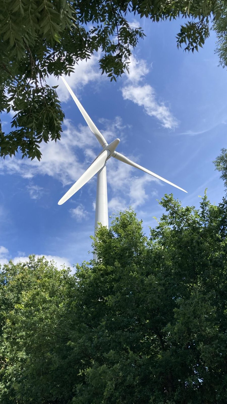 Vor blauem Himmel mit weißen Wölkchen ist in der Mitte des Fotos der obere Teile eines weißen Windrads zu sehen. in der unteren Hälfte des Fotos ist der untere Teil des Windrads von grünen Bäumen und Buschwerk verdeckt. Und er oberen linken Ecke des Fotos ragen Äste mit grünem Laub ins Bild.